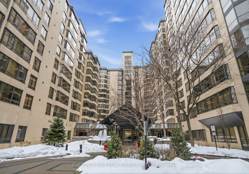 211-st-patrick-street-toronto-ontario-c13124068