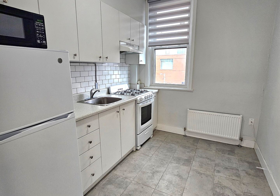437-spadina-avenue-toronto-ontario-c13124620