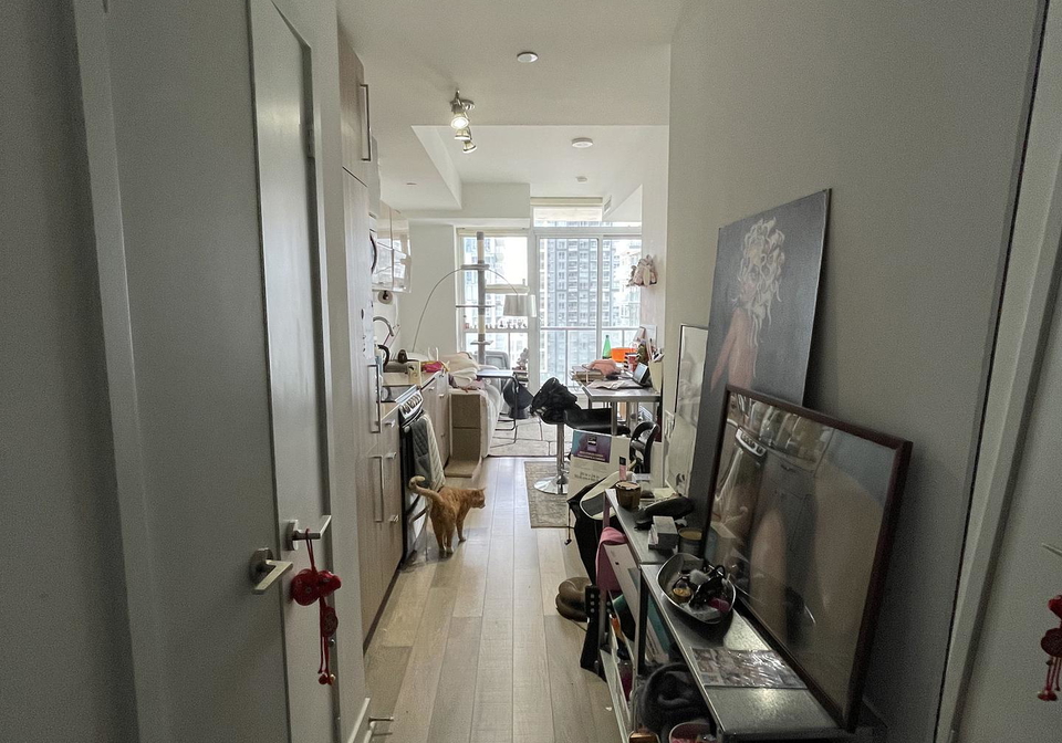 290-adelaide-street-toronto-ontario-c13125070
