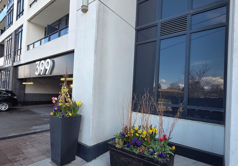 399-spring-garden-avenue-north-york-ontario-c13125076