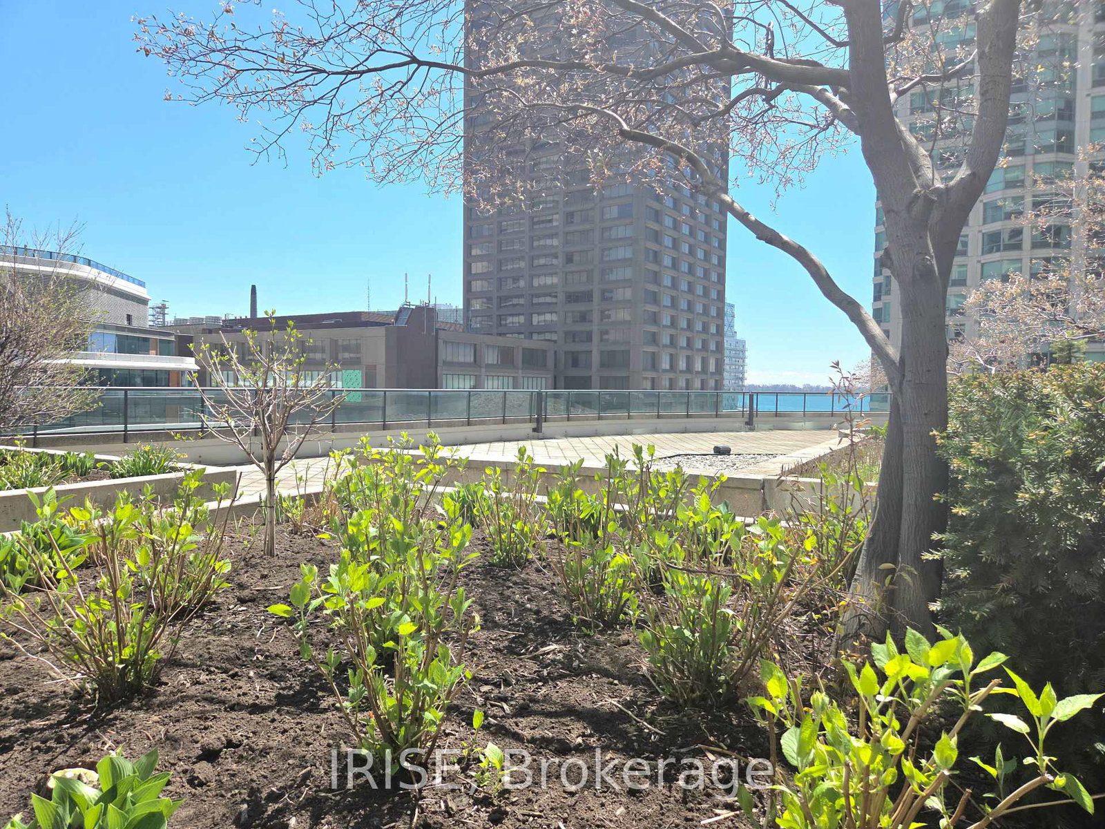 16-yonge-street-toronto-ontario-c13127546