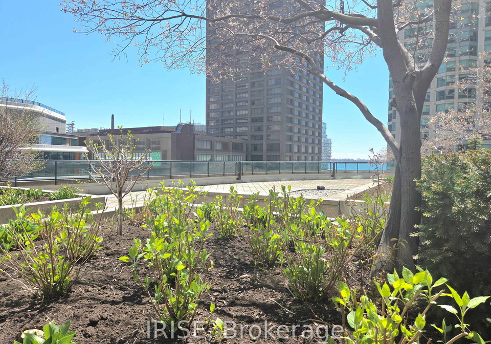 16-yonge-street-toronto-ontario-c13127546