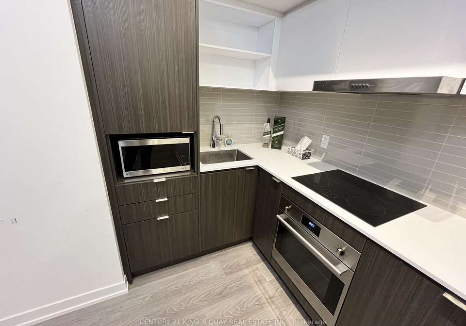 55-cooper-street-toronto-ontario-c13145908
