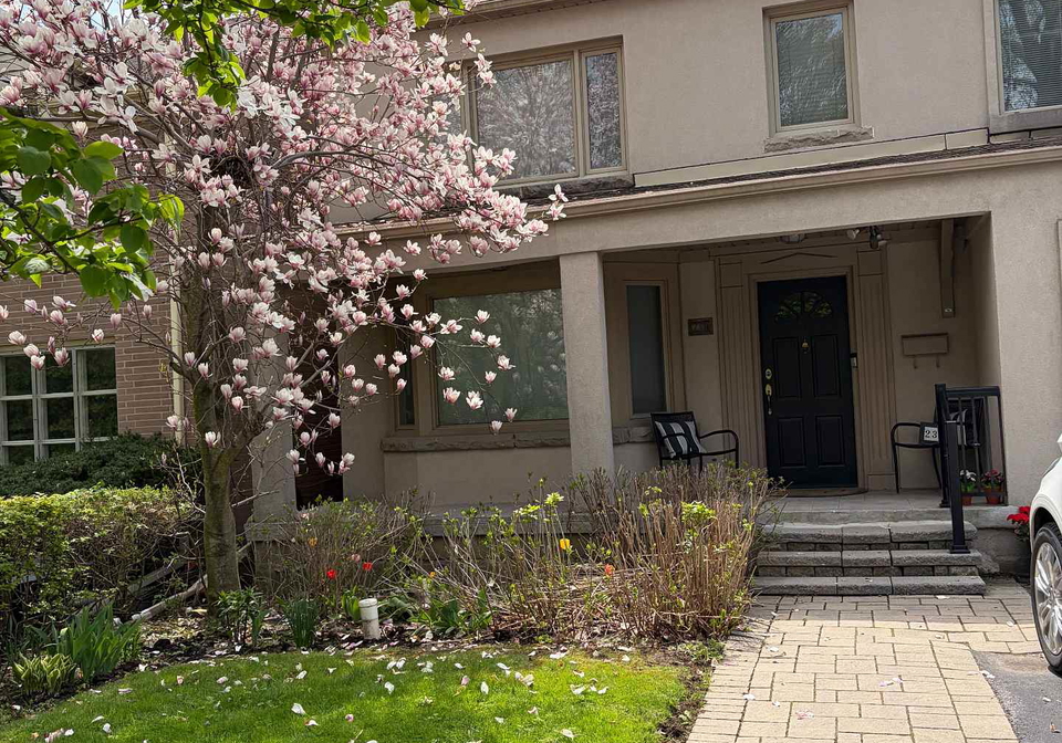 239-sandringham-drive-toronto-ontario-c13165600