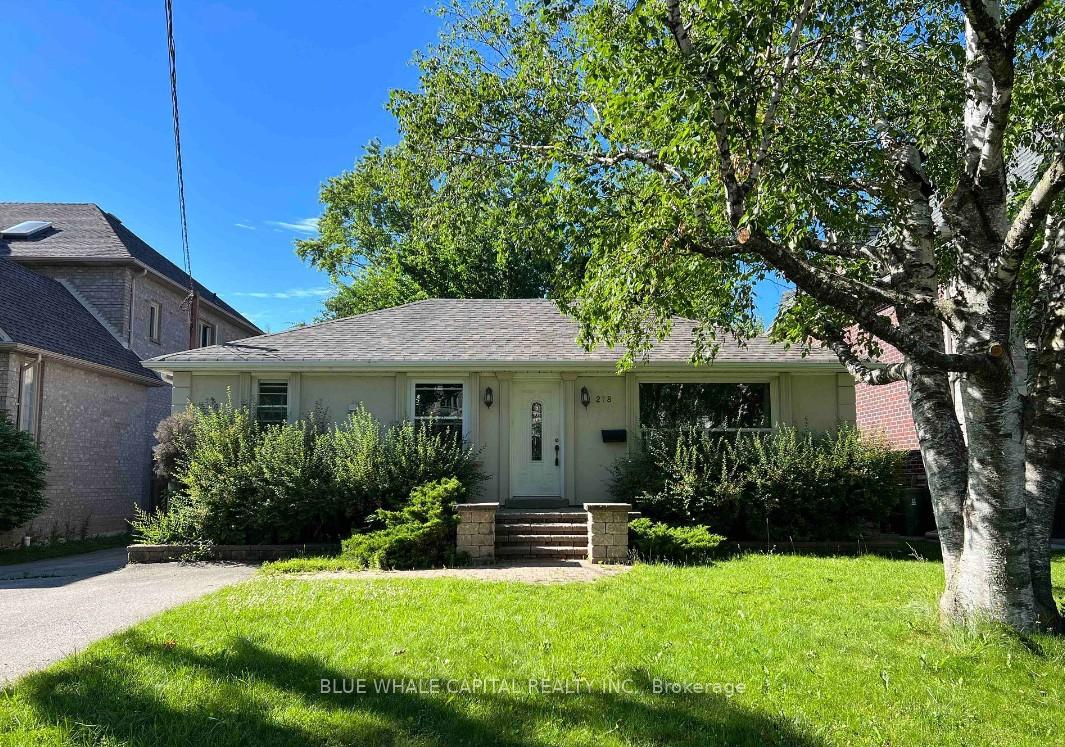 278-princess-avenue-north-york-ontario-c13174734