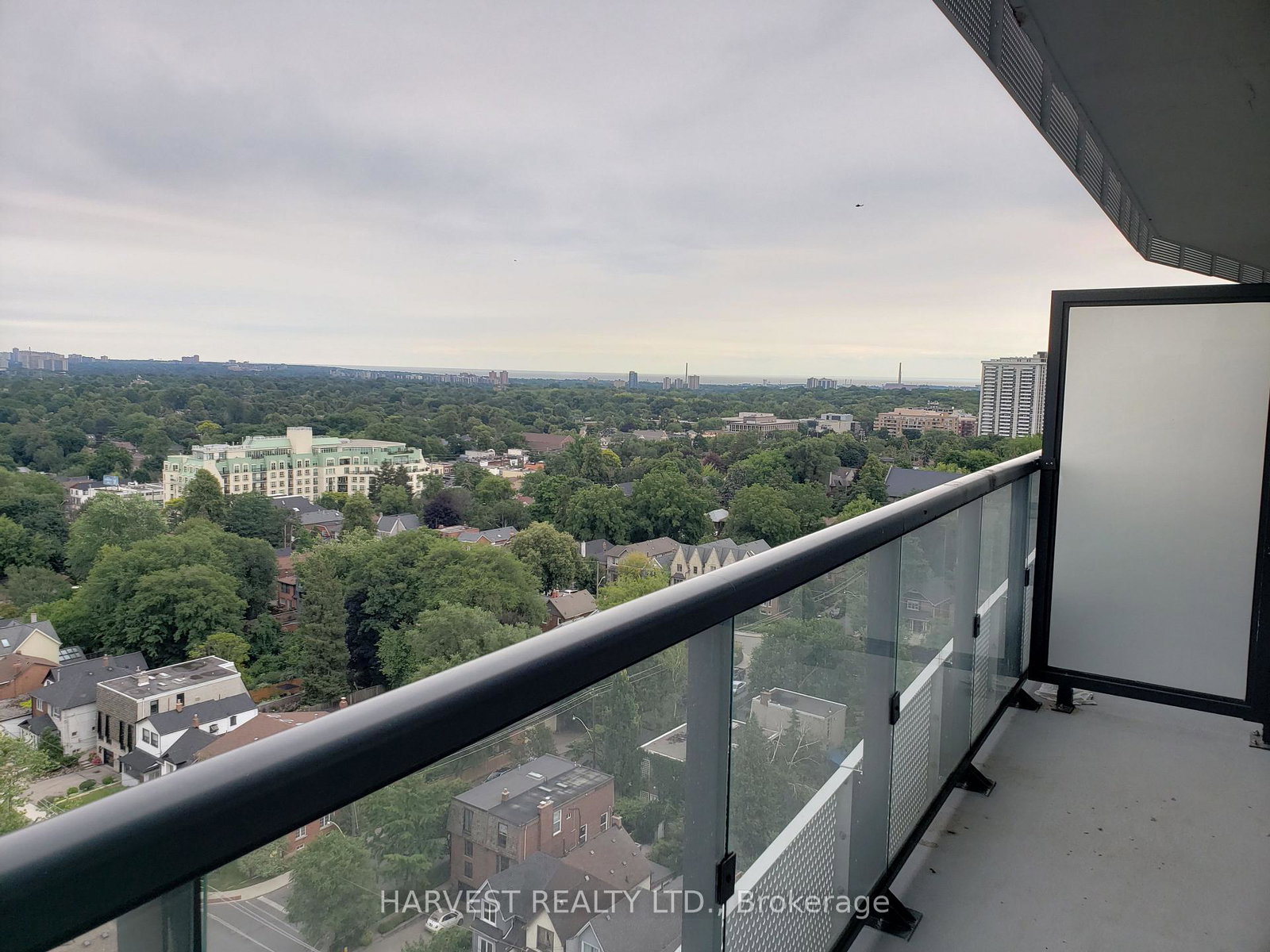 11-lillian-street-toronto-ontario-c13174830