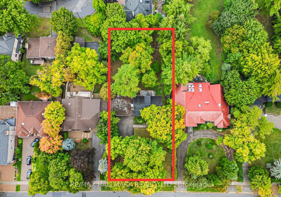 344-spring-garden-avenue-north-york-ontario-c13181128