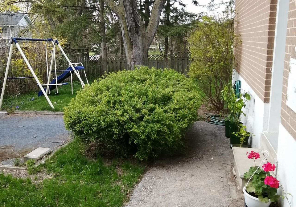 3-glentworth-road-north-york-ontario-c13206246