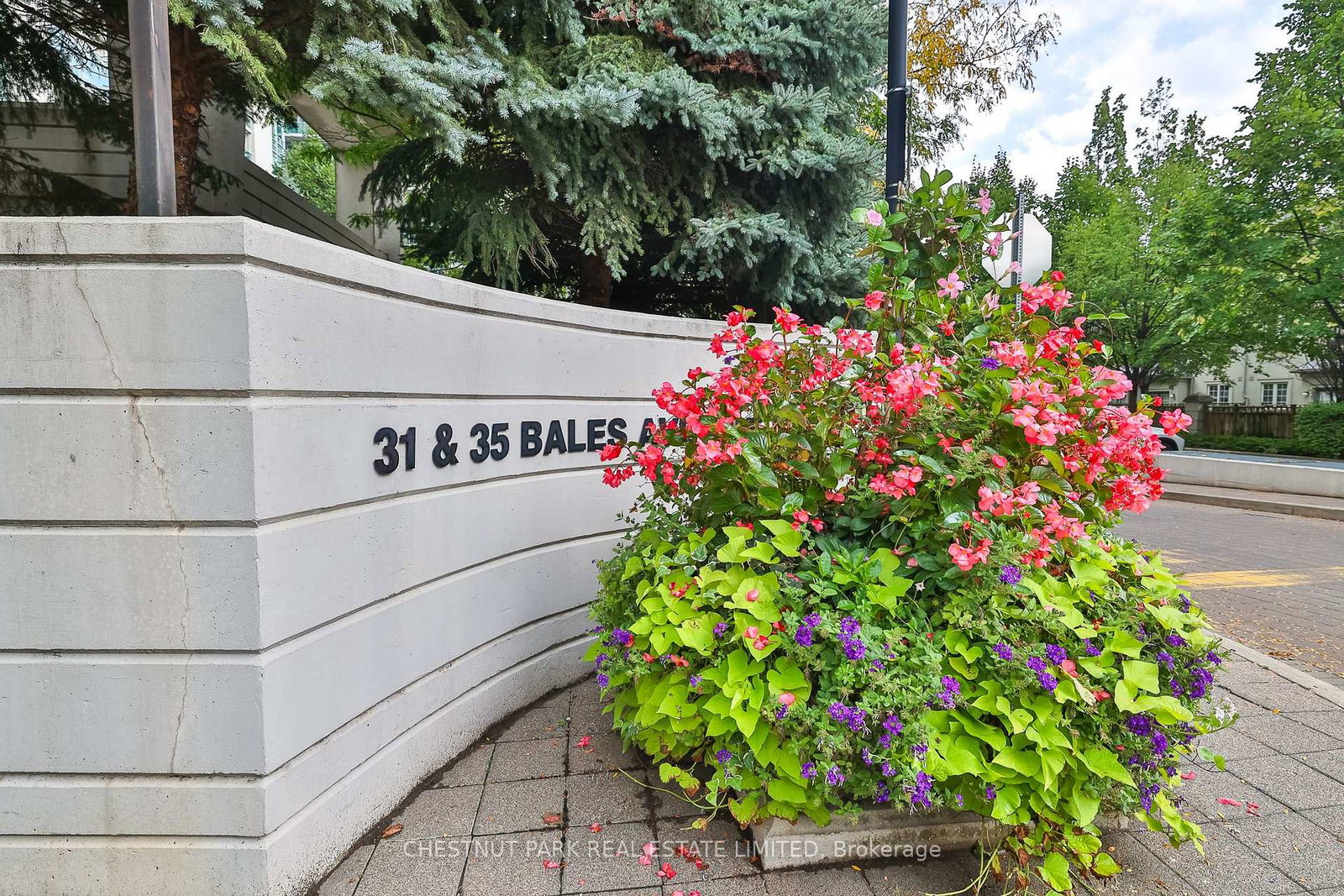 35-bales-avenue-north-york-ontario-c13229390