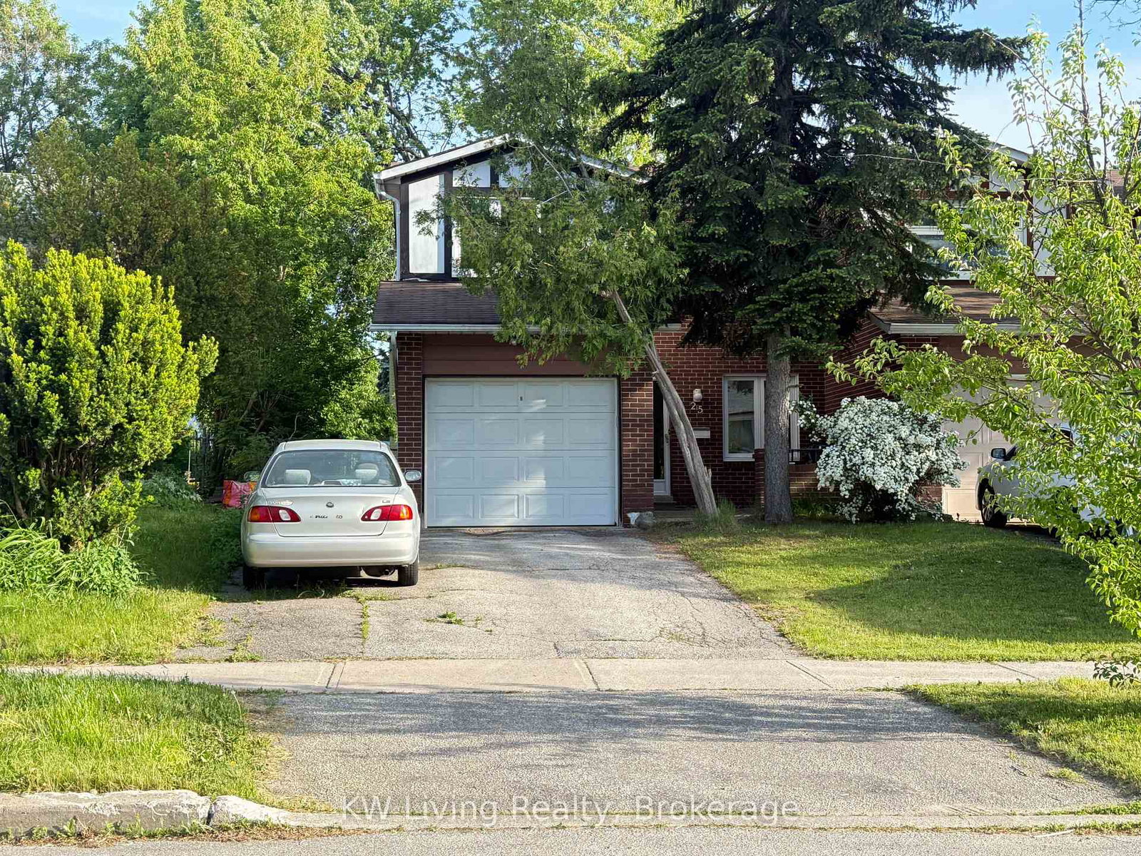 25-yucatan-road-north-york-ontario-c13233448