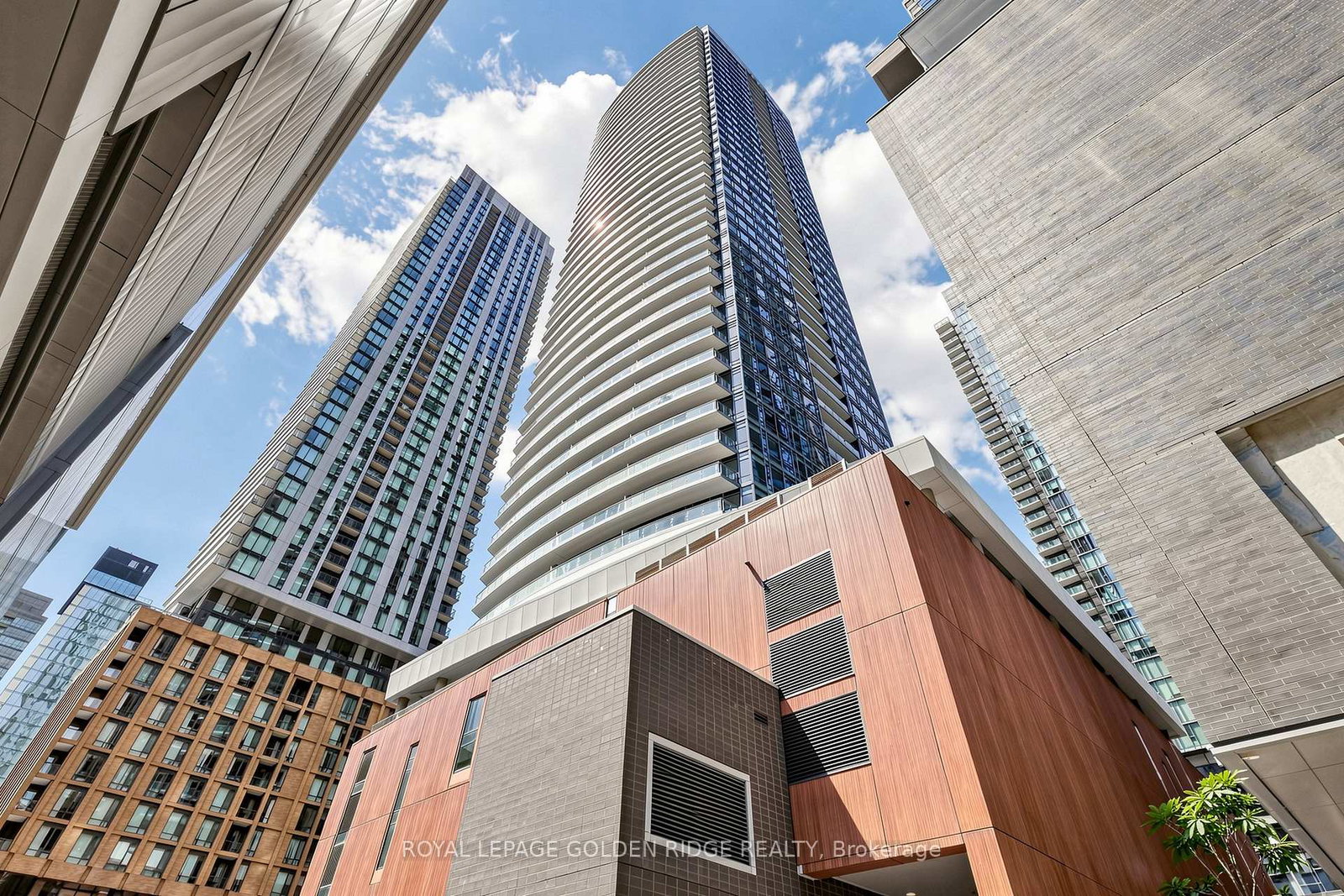 21-widmer-street-toronto-ontario-c13249564