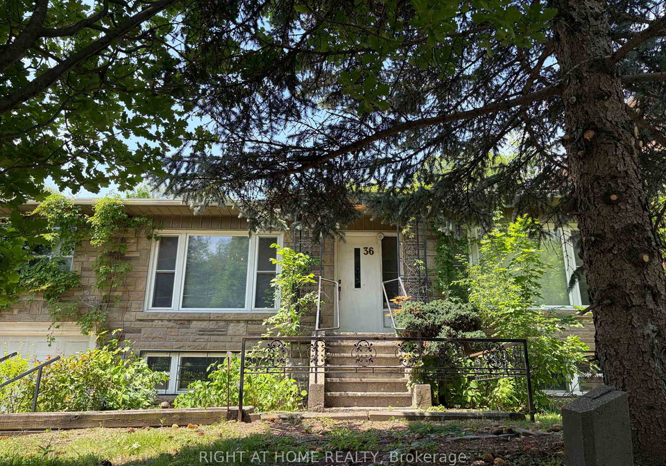 36-forest-wood-toronto-ontario-c13250354