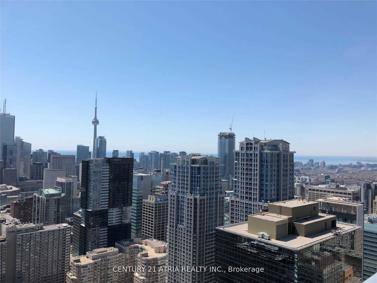 7-grenville-street-toronto-ontario-c13253712