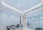 121-st-patrick-street-toronto-ontario-c13411174