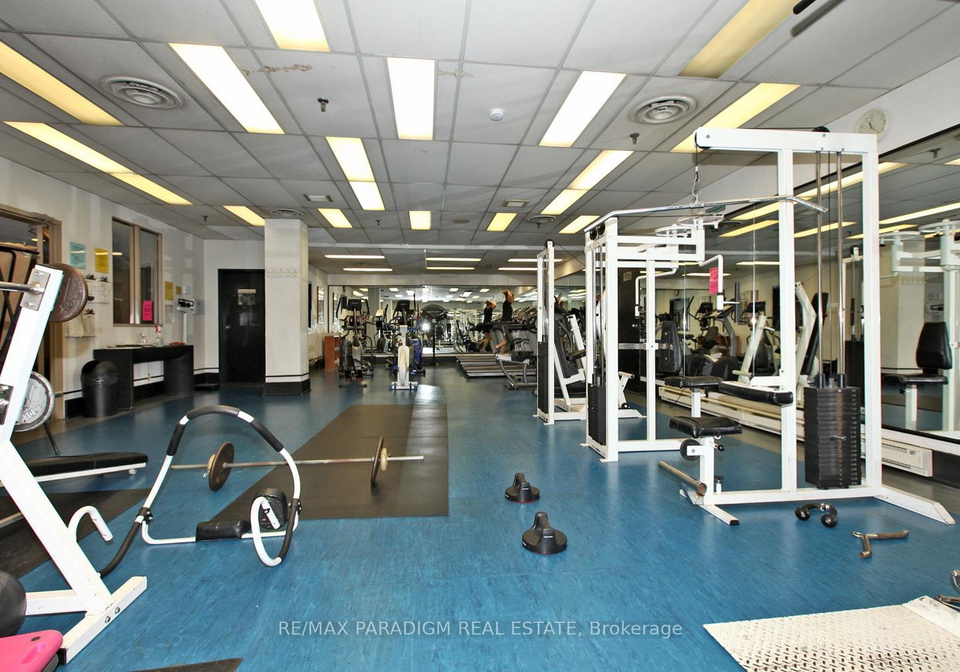 717-bay-street-toronto-ontario-c13411556