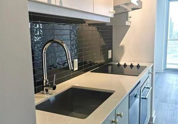 9-tecumseth-street-toronto-ontario-c13412652