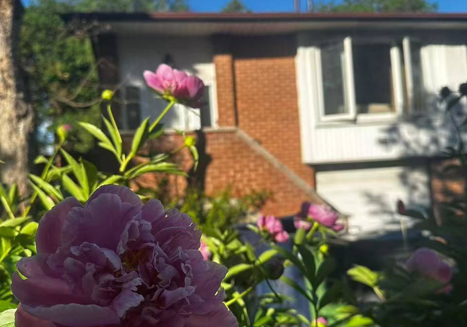 15-harnworth-drive-north-york-ontario-c13431298
