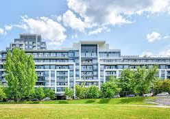 339-spring-garden-avenue-north-york-ontario-c13438394