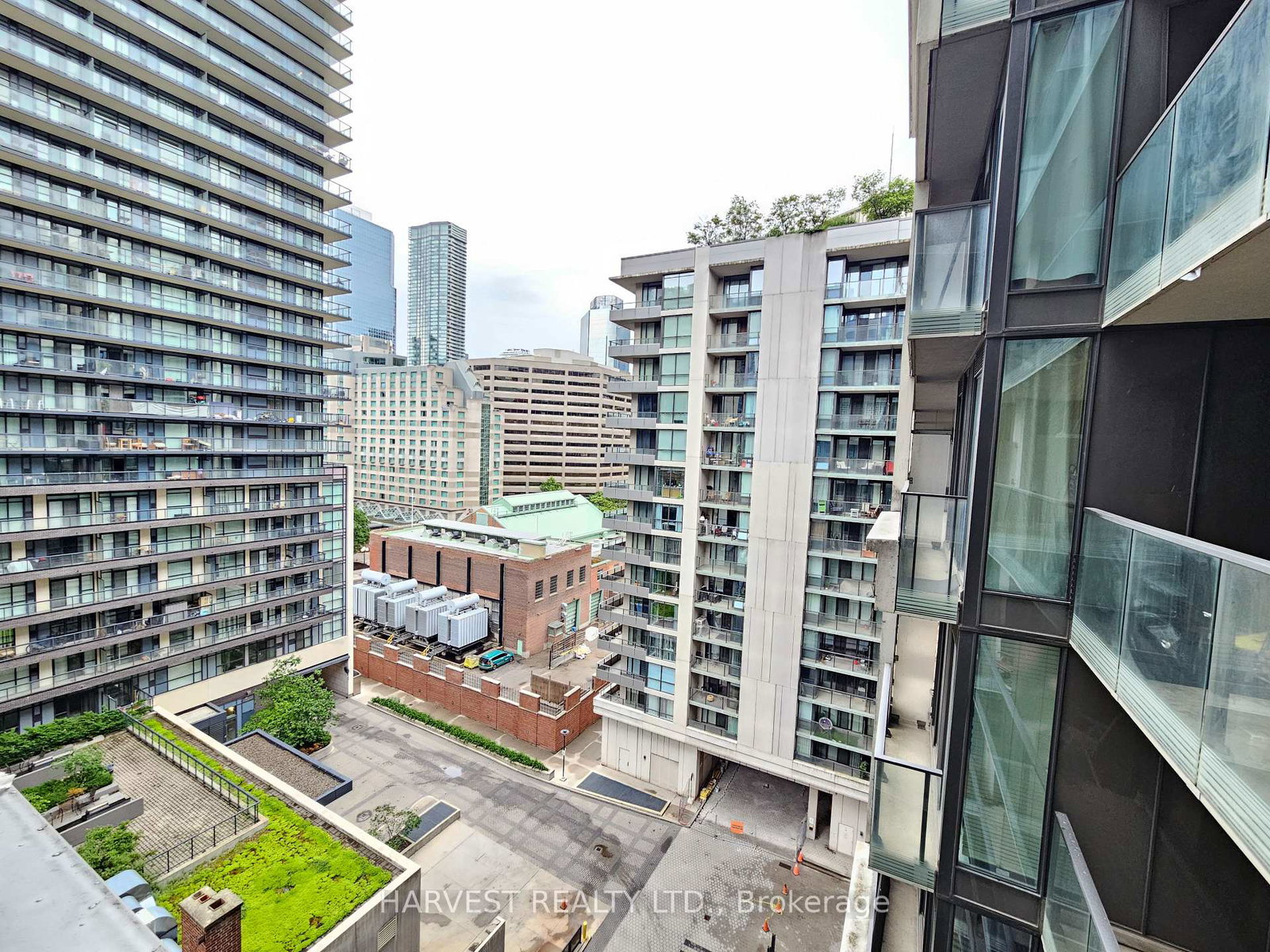 111-elizabeth-street-toronto-ontario-c13442758