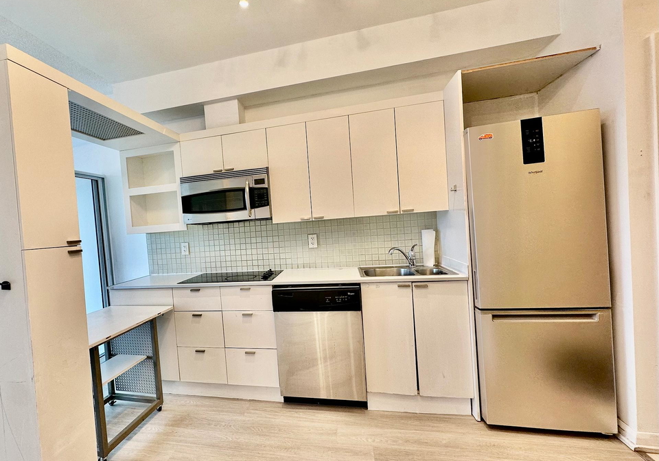 111-elizabeth-street-toronto-ontario-c13446022