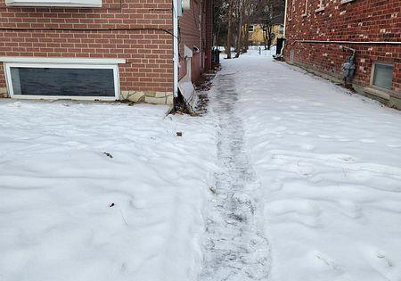 114-goulding-avenue-toronto-ontario-c13451138