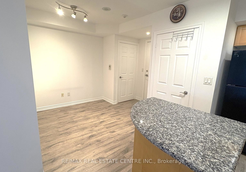 250-wellington-street-toronto-ontario-c13466680