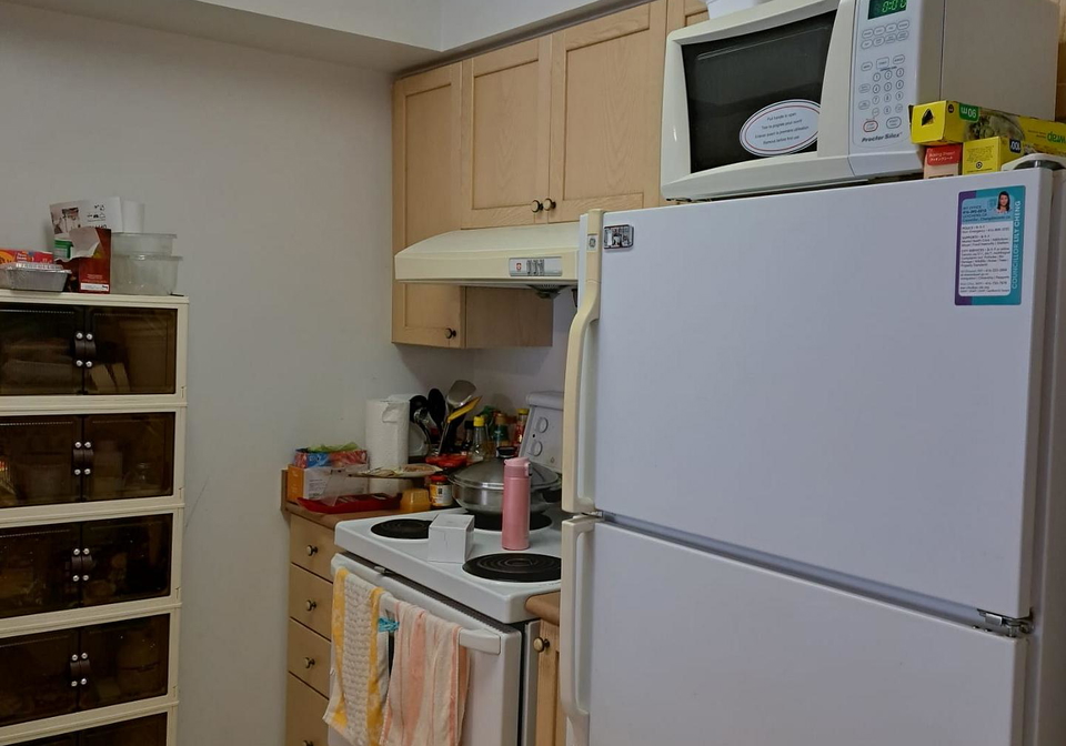 28-olive-avenue-north-york-ontario-c13473932