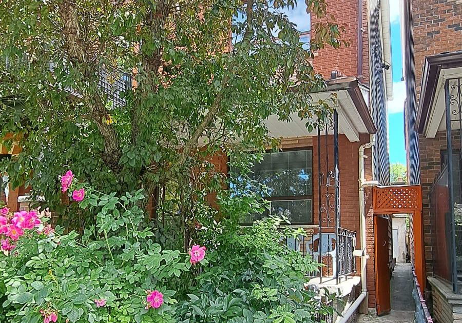 119-major-street-toronto-ontario-c13474522