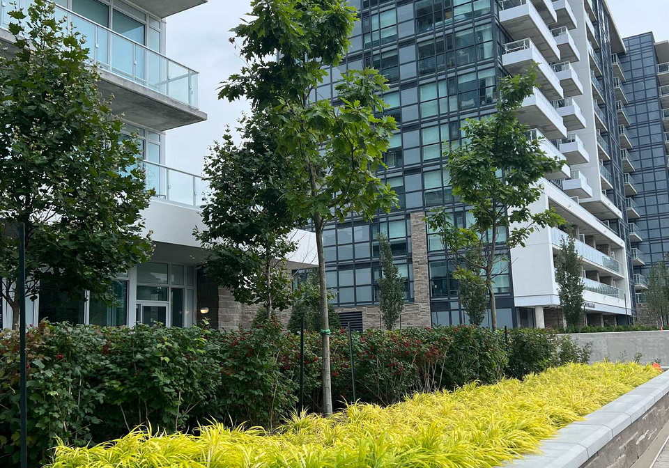 10-deerlick-court-north-york-ontario-c13476572