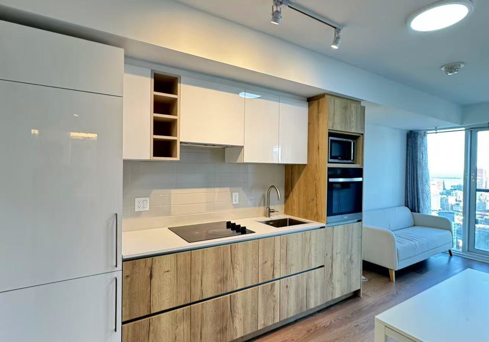 319-jarvis-street-toronto-ontario-c13482238