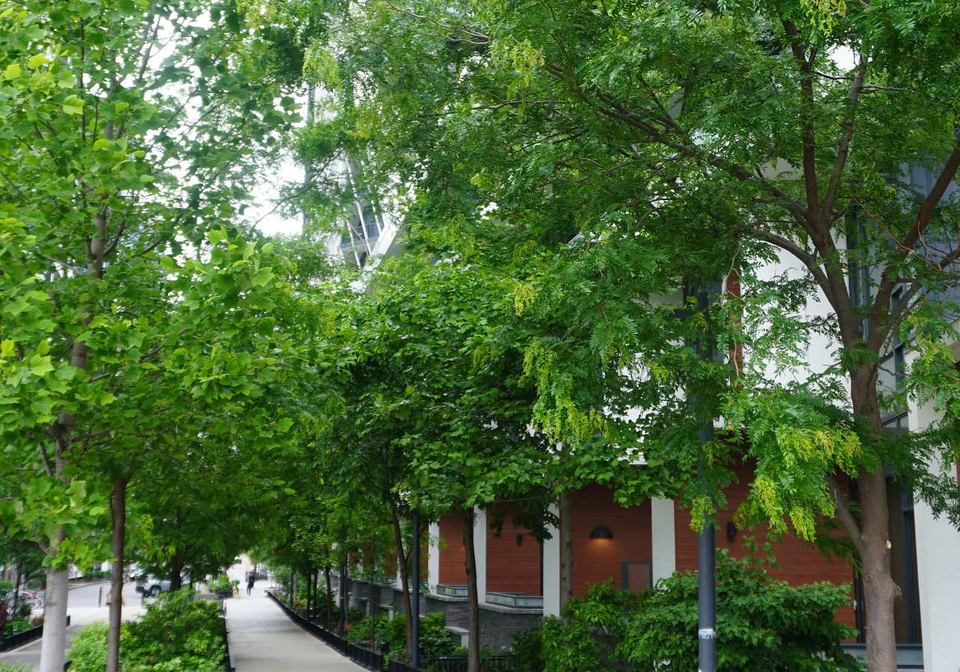 50-ordnance-street-toronto-toronto-ontario-c13490042