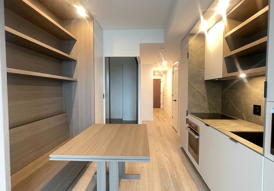 55-e-charles-street-e-toronto-toronto-ontario-c13496460