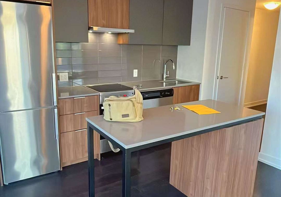 203-college-street-toronto-toronto-ontario-c13503410