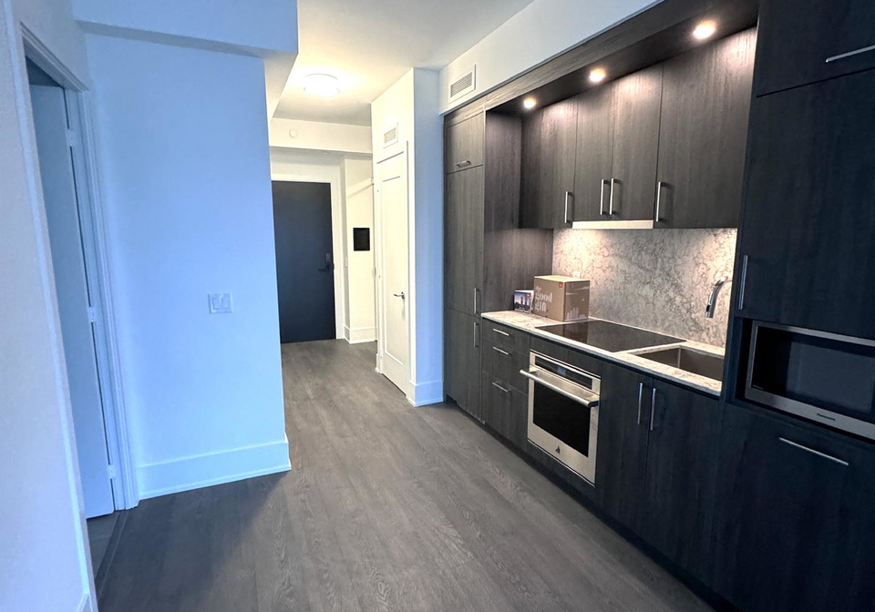 470-front-street-w-toronto-toronto-ontario-c13504034