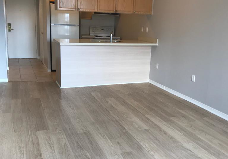 887-bay-street-toronto-toronto-ontario-c13506808
