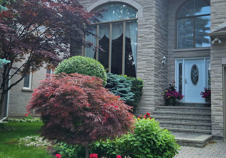 16-lawnview-drive-toronto-north-york-ontario-c13516622