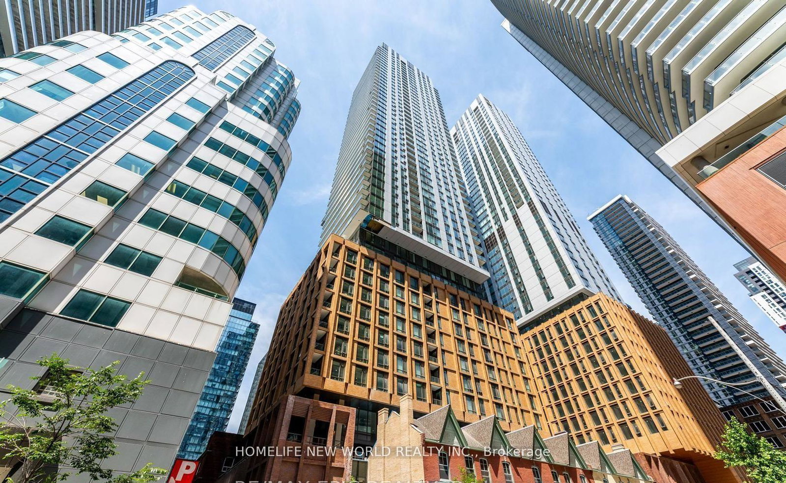 8-widmer-street-toronto-toronto-ontario-c13517028