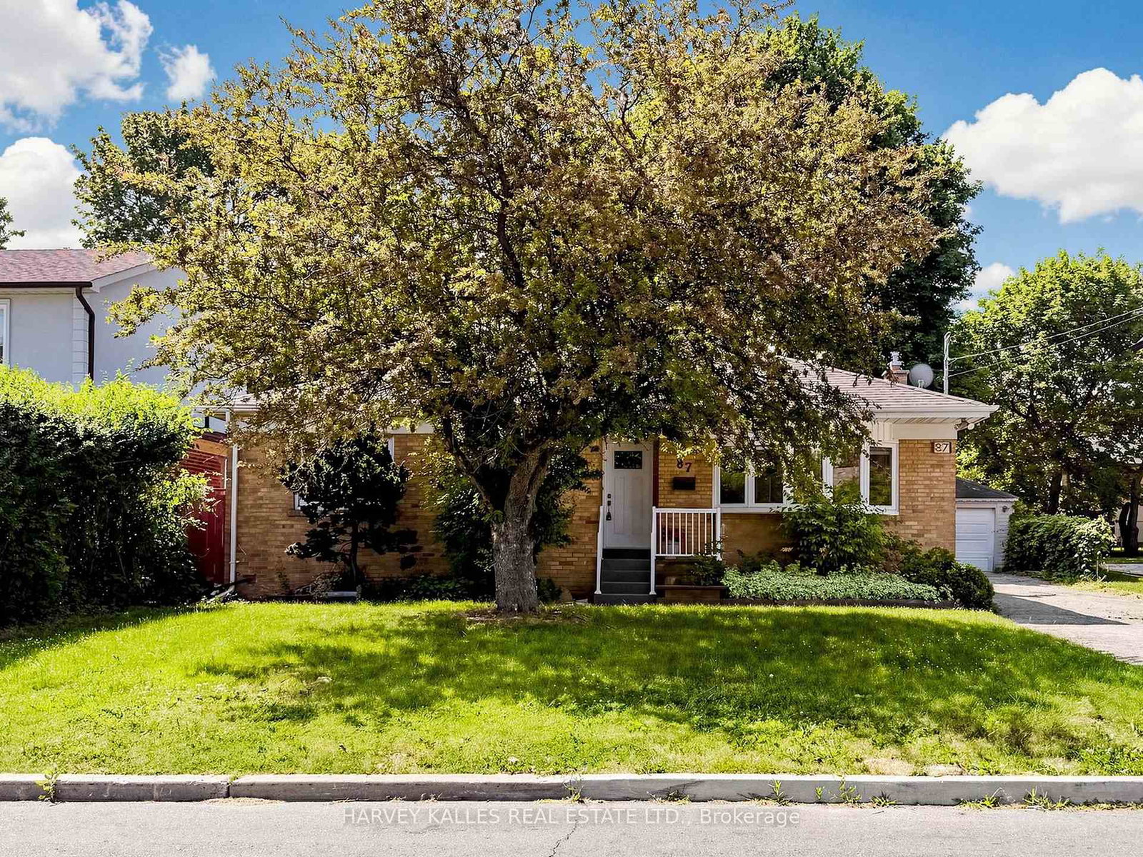 87-combe-avenue-toronto-toronto-ontario-c13523354