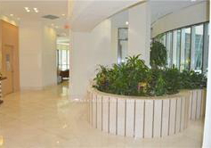 509-beecroft-road-toronto-toronto-ontario-c13523546