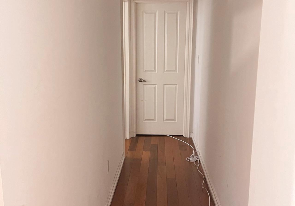 193-brunswick-avenue-toronto-toronto-ontario-c13524926