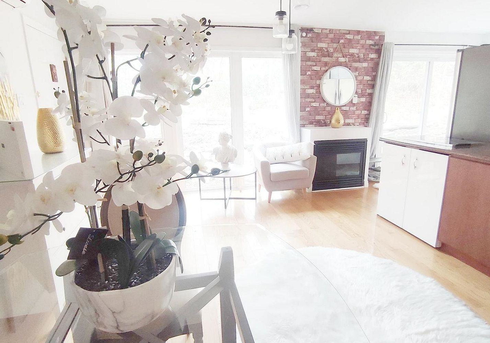 143-steeles-avenue-e-toronto-north-york-ontario-c13534016