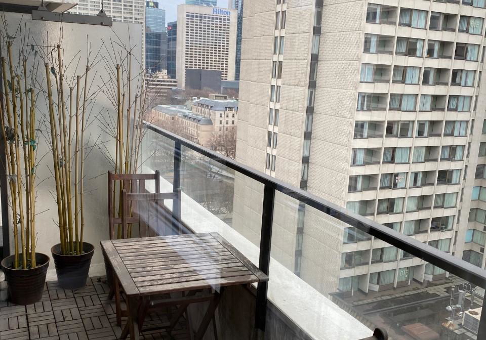 111-elizabeth-street-toronto-toronto-ontario-c13543366