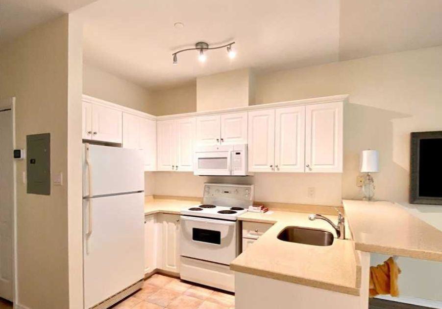 393-king-street-toronto-toronto-ontario-c13543368