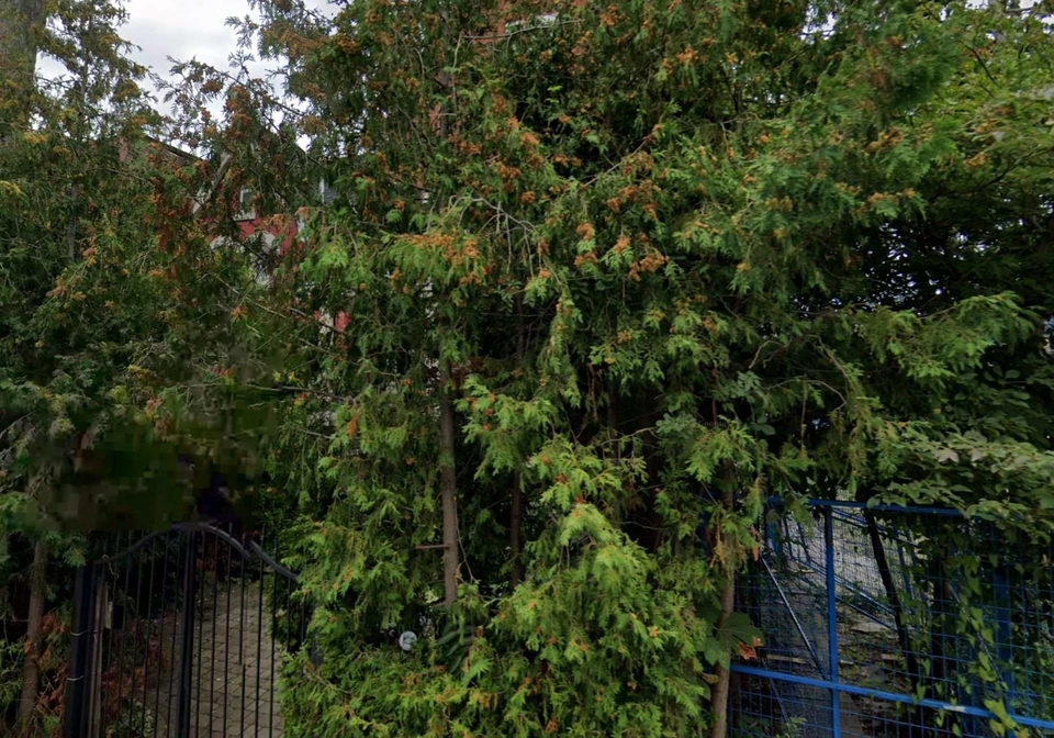 30-grange-avenue-toronto-toronto-ontario-c13546846