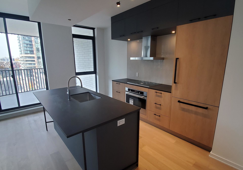 41-dovercourt-road-toronto-toronto-ontario-c13553024