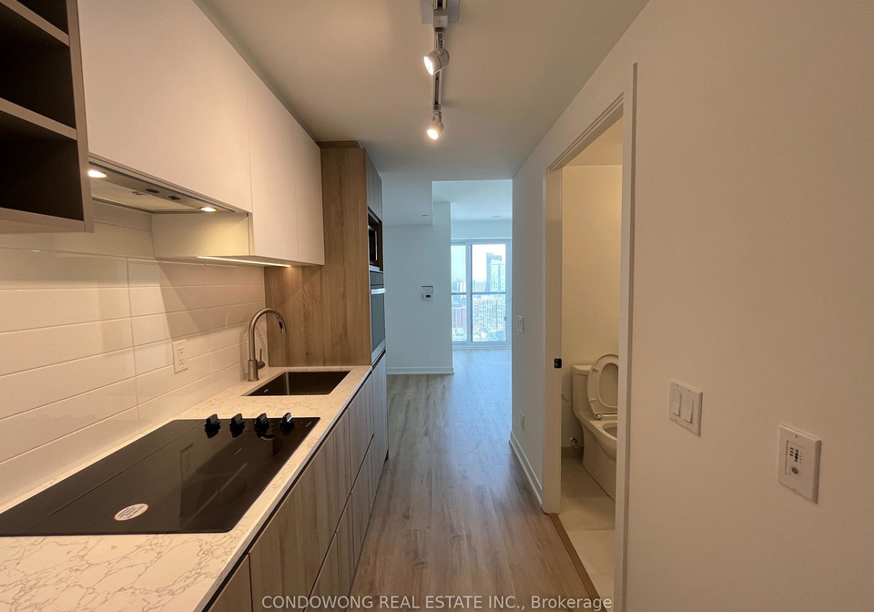 319-jarvis-street-toronto-toronto-ontario-c13559420