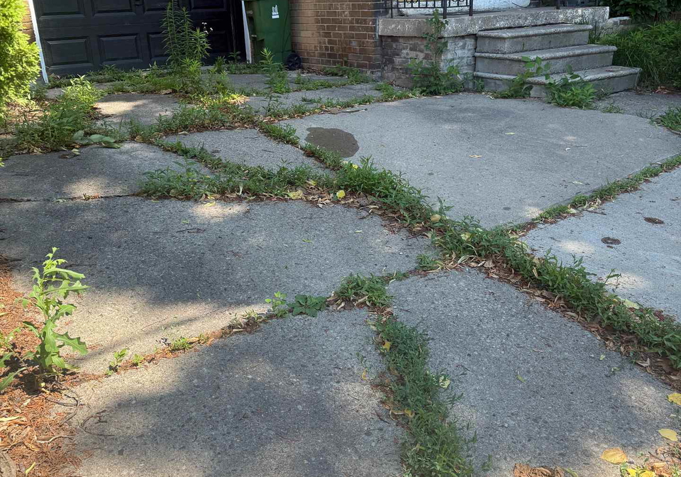 832-davenport-road-toronto-toronto-ontario-c13562374