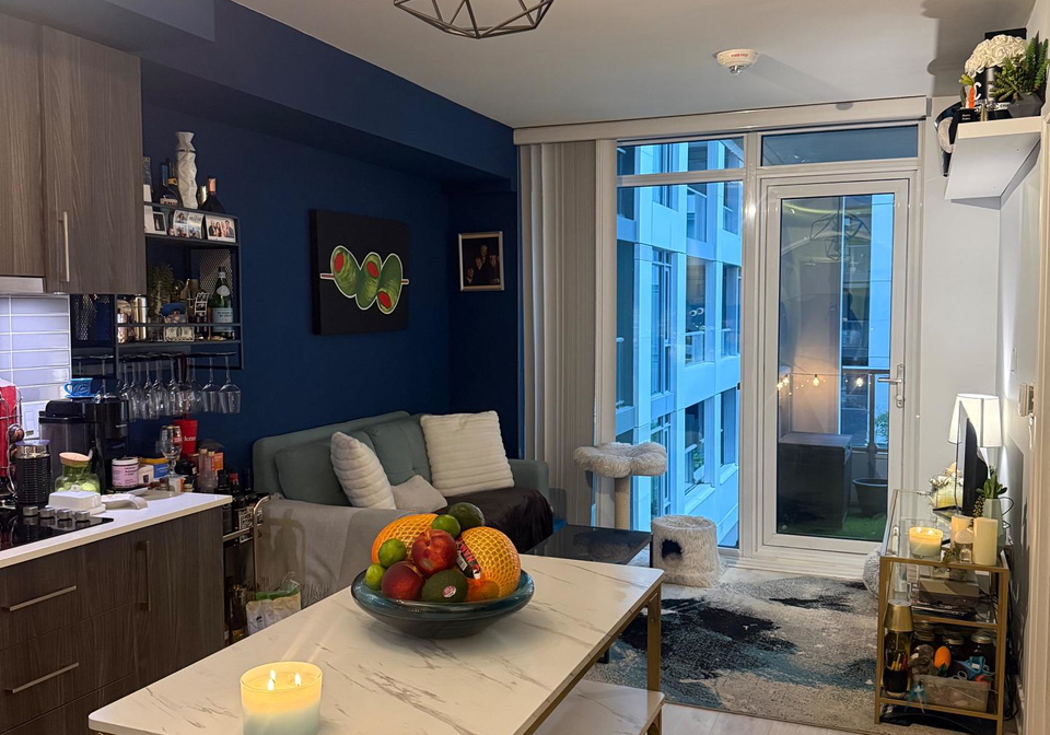576-front-street-w-toronto-toronto-ontario-c13568820