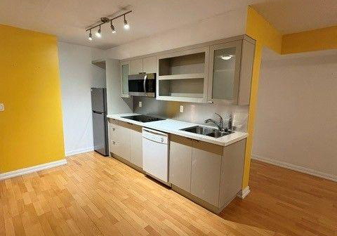 111-elizabeth-street-toronto-toronto-ontario-c13576964