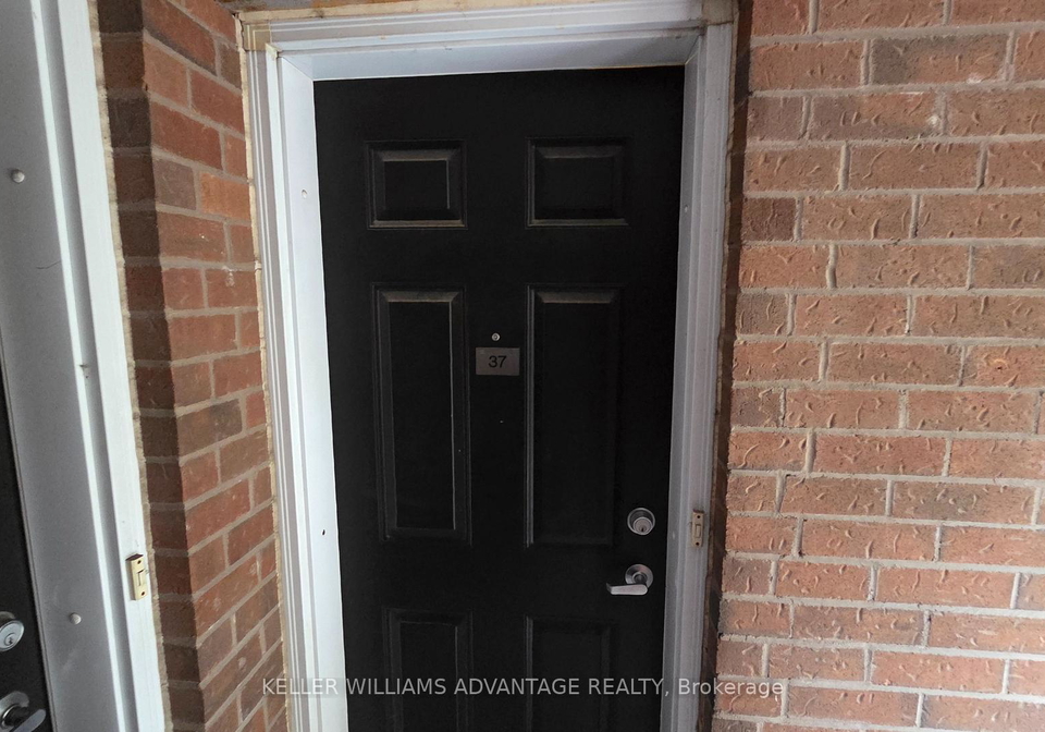 217-st-george-street-toronto-toronto-ontario-c13578108